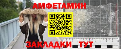 хмурый Сланцы