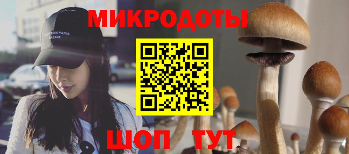 Псилоцибиновые грибы прущие грибы Новороссийск